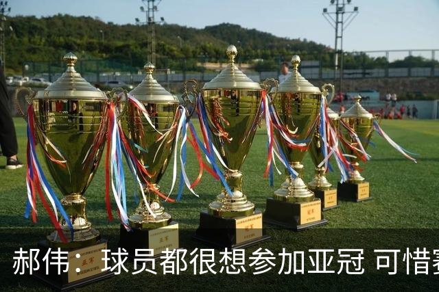 郝伟：球员都很想参加亚冠 可惜赛程跟联赛冲突